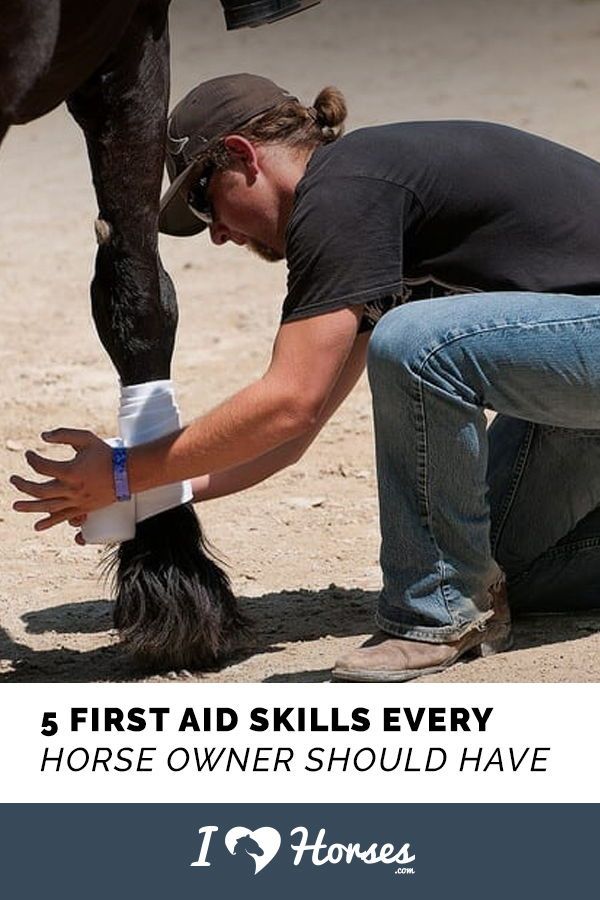 a man kneeling down next to a horse with his hand on it's head