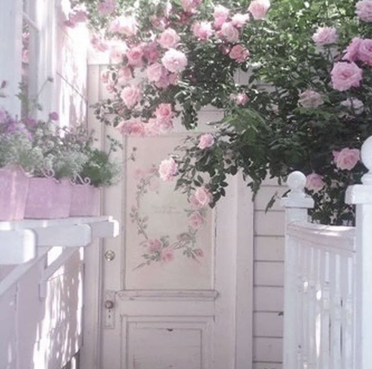 pink roses growing on the side of a white door