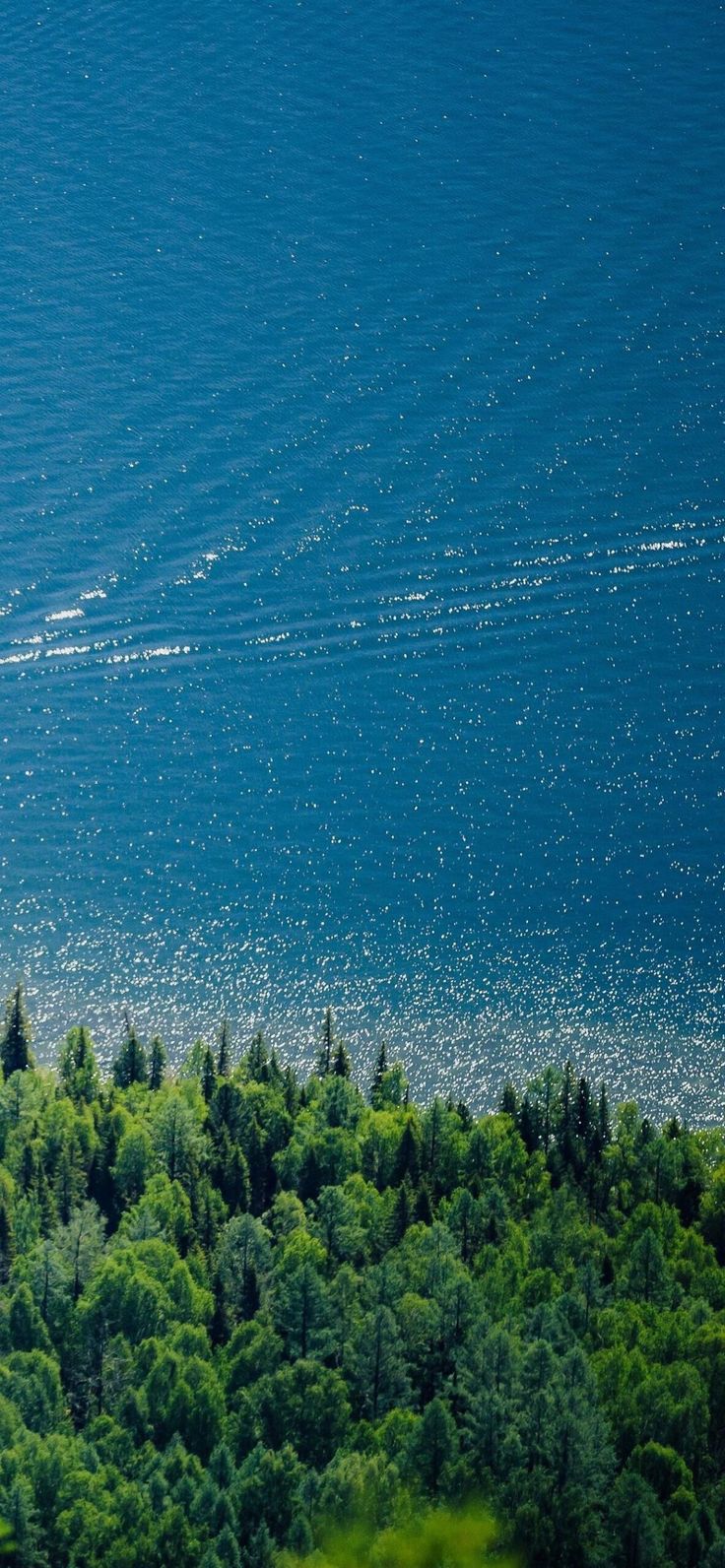 an airplane is flying over the water and trees in the foreground, as seen from above