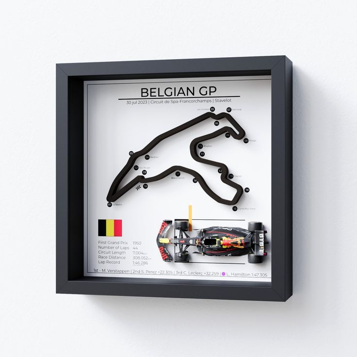 a framed photograph of a race car on display in a black frame with white background