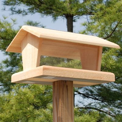 a wooden bird house with trees in the background