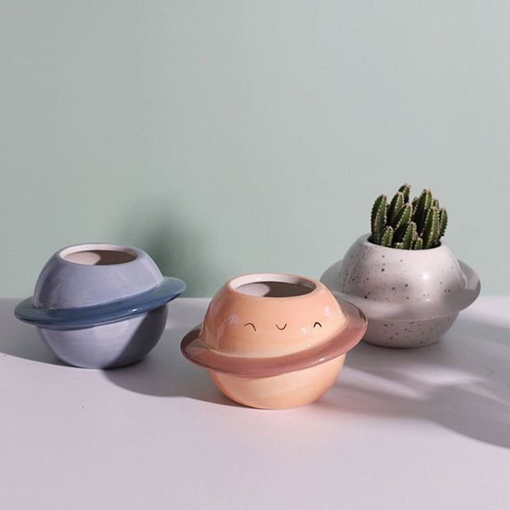 three pots with plants in them on a table