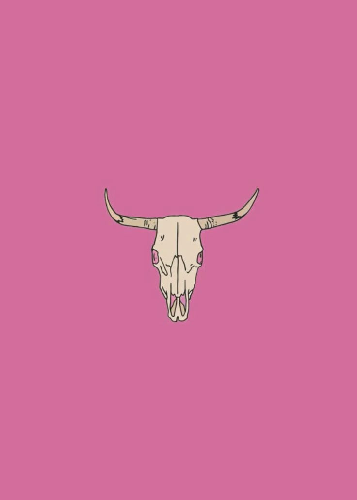 a bull's skull on a pink background