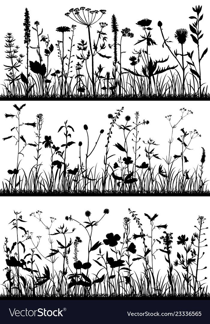 the silhouettes of flowers and grass on a white background