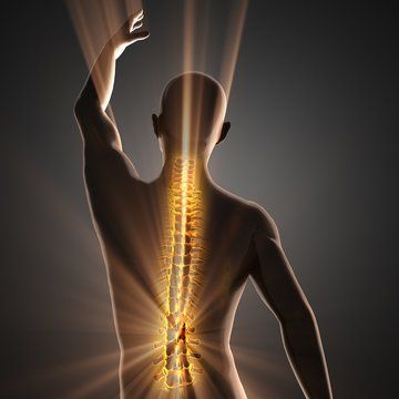 Not only is a healthy spine important for the back area, obviously, but it’s also beneficial in terms of the body as a whole. Straight Spine, Spine Design, Spinal Compression, Spinal Cord Diagram, Tracts Of Spinal Cord, Spinal Cord Anatomy, Spinal Column, Spinal Decompression, Healthy Spine