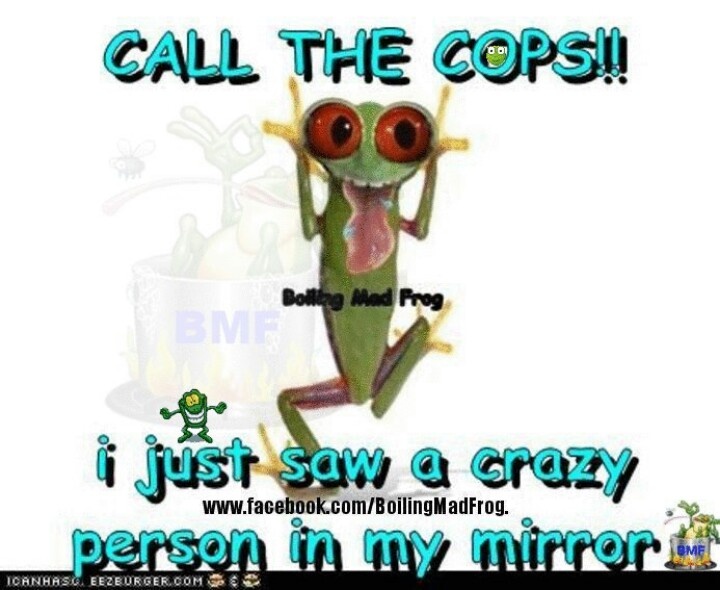 a green frog with big eyes and an evil look on its face, says call the cops i just saw a crazy person in my mirror