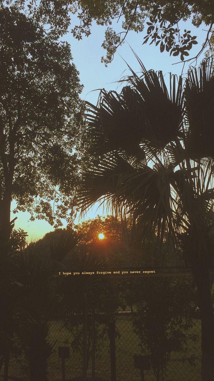 the sun is setting behind some trees and fenced in area with no people or animals