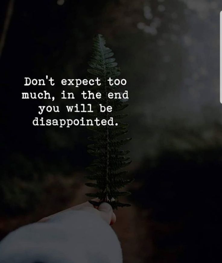 someone holding a small tree with the words don't expect too much, in the end you will be disappointed