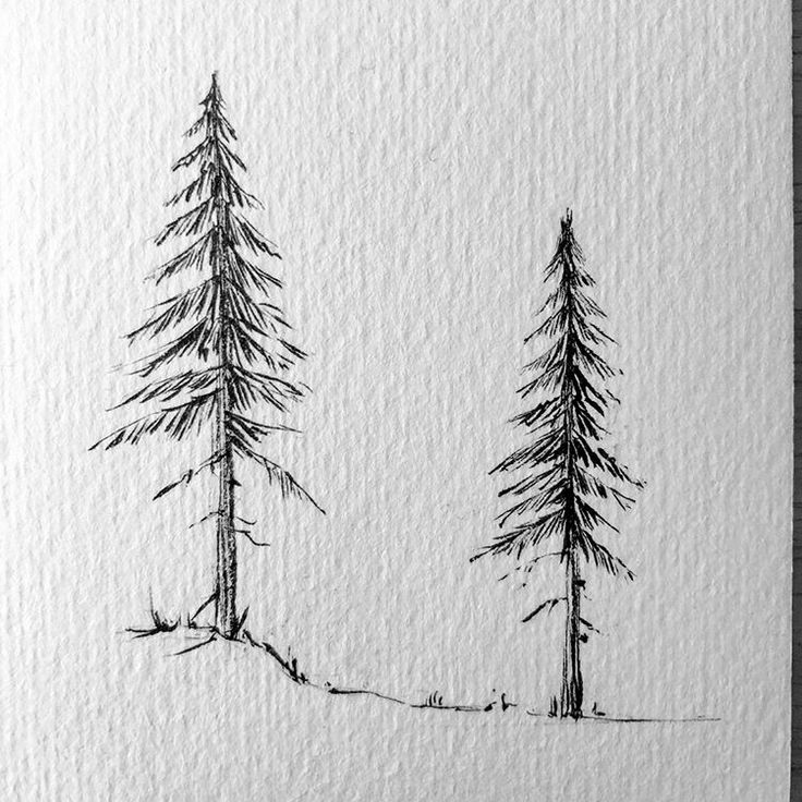 a drawing of two pine trees in the snow, one is drawn on paper and the other is inked