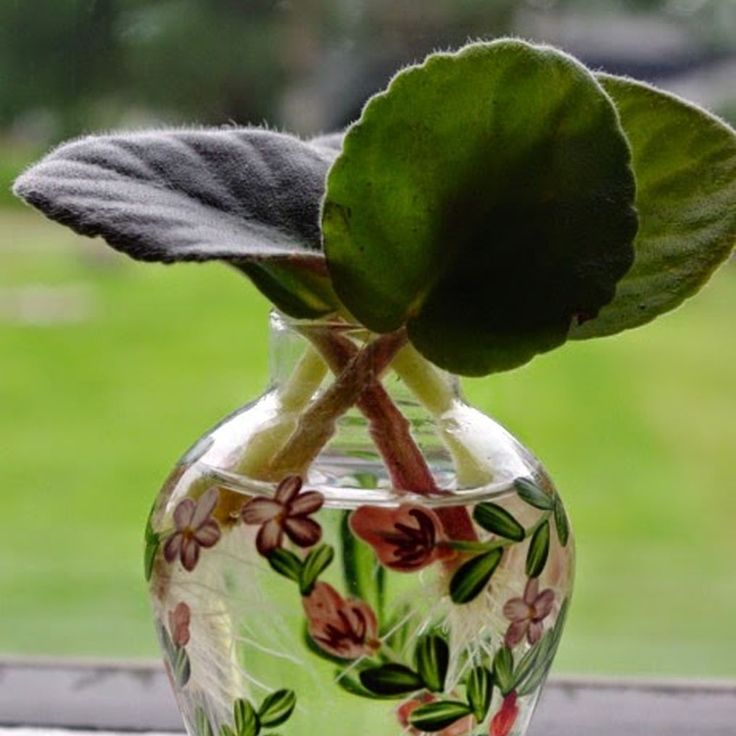 a glass vase with a plant in it sitting on a window sill next to a grassy field