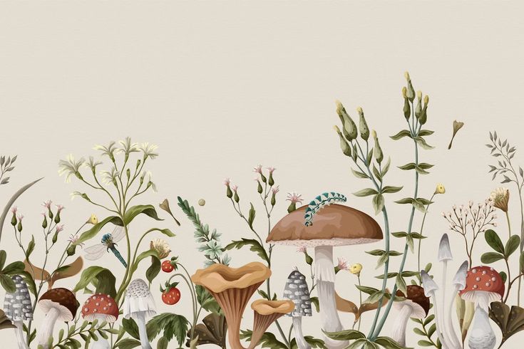 a painting of mushrooms and plants on a white background