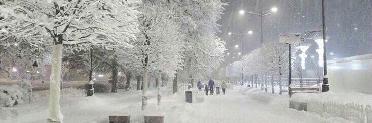 a snowy street at night with people walking on the sidewalk and trees covered in snow