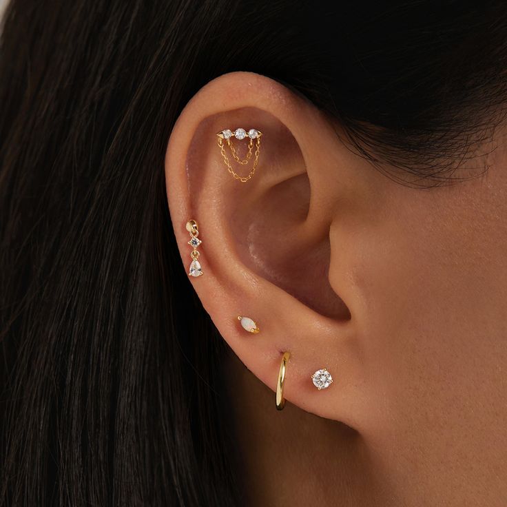 a close up of a person with ear piercings on their left and right ears