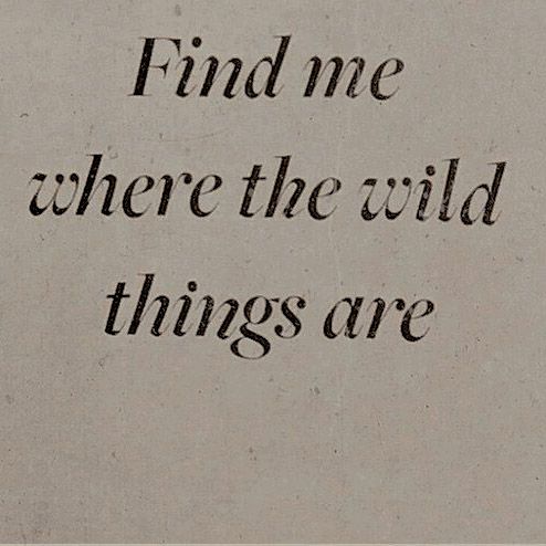 a piece of paper with the words find me where the wild things are