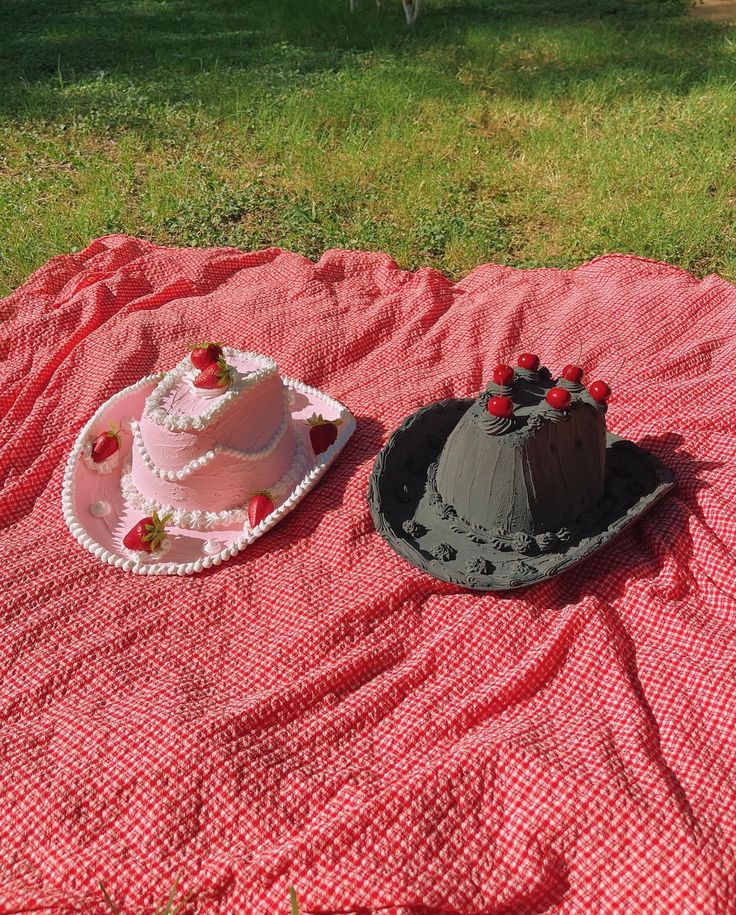 two cakes sitting on top of a red blanket in the grass next to each other