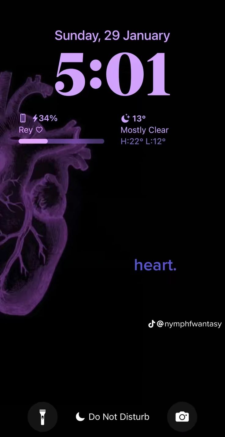 an iphone screen showing the heart rate and what's in it for you to see