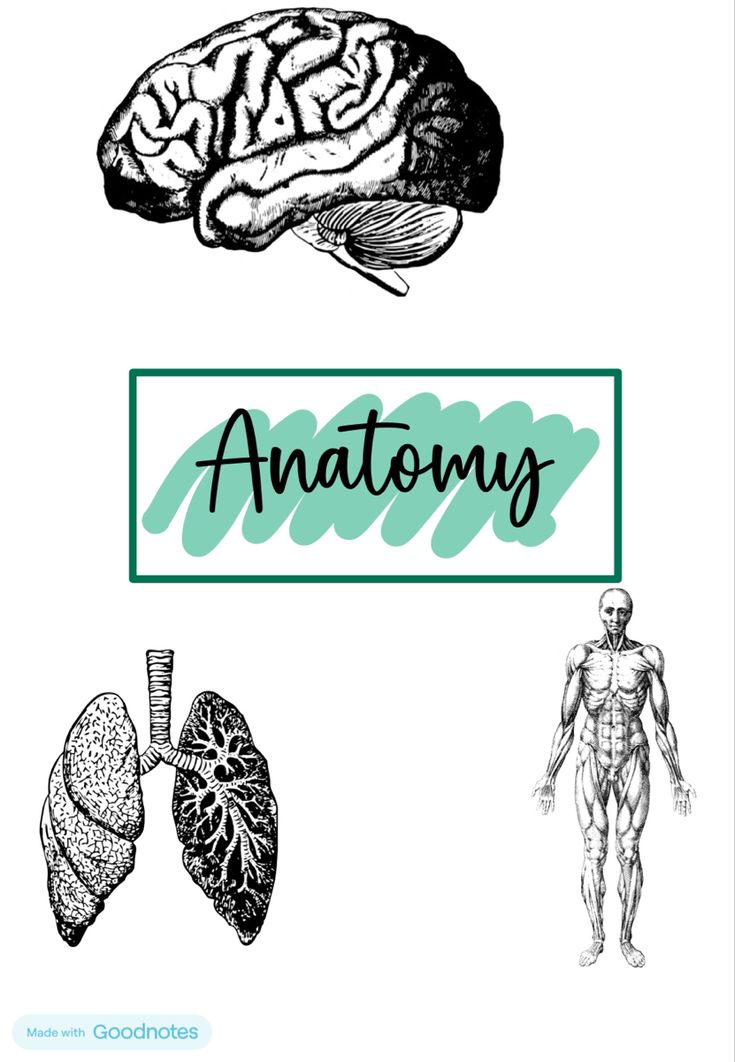 an image of the human body and its organ systems with caption anatomy