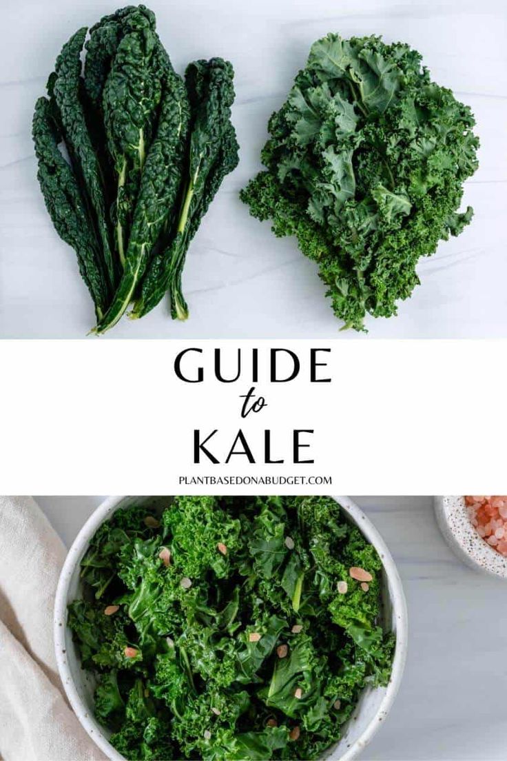 kale in a white bowl with the title guide to kale on top and below