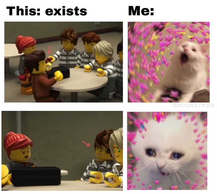 four different pictures with cats and people in the middle one has a cat on it's head