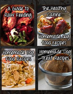 four different types of food are shown in this graphic above it is an image with the words, guide to raw feeding canine and homemade dog food recipes