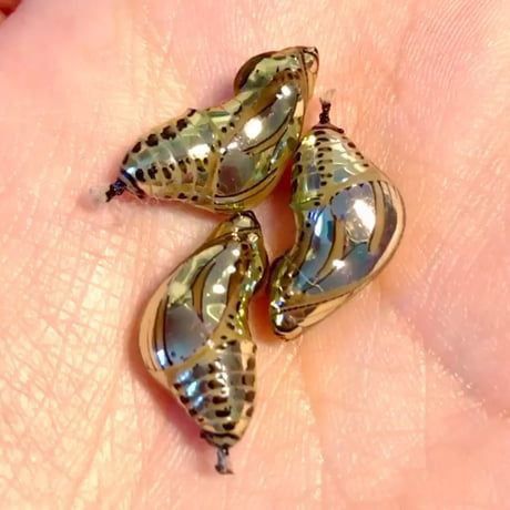 three small silver birds sitting on top of a persons hand in front of the camera