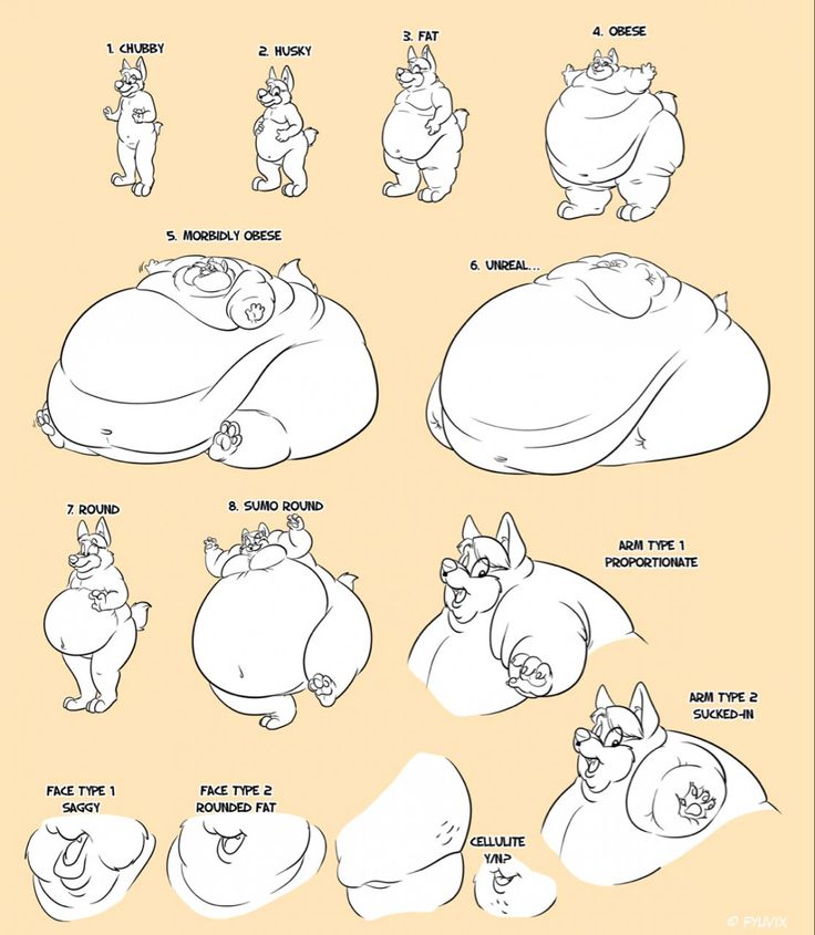 an animation character sheet for the animated movie pooh, with various poses and expressions