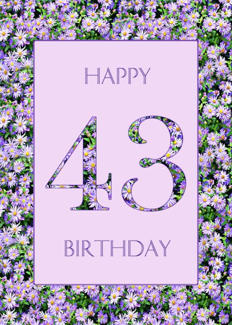 a purple birthday card with daisies and the number forty nine in front of it