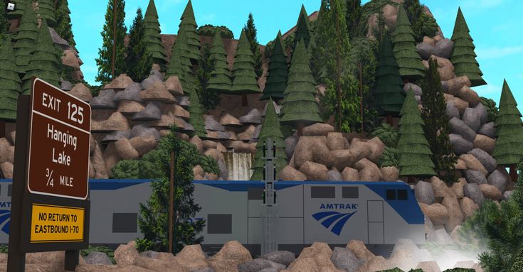 a train traveling past a forest filled with lots of tall green trees and rocks next to a sign