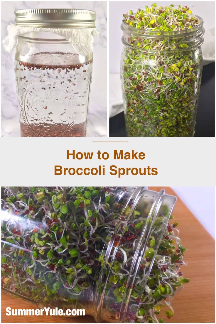 how to make broccoli sprouts in a mason jar