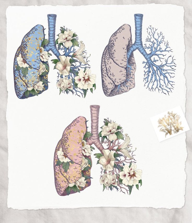 four different types of lungs and flowers