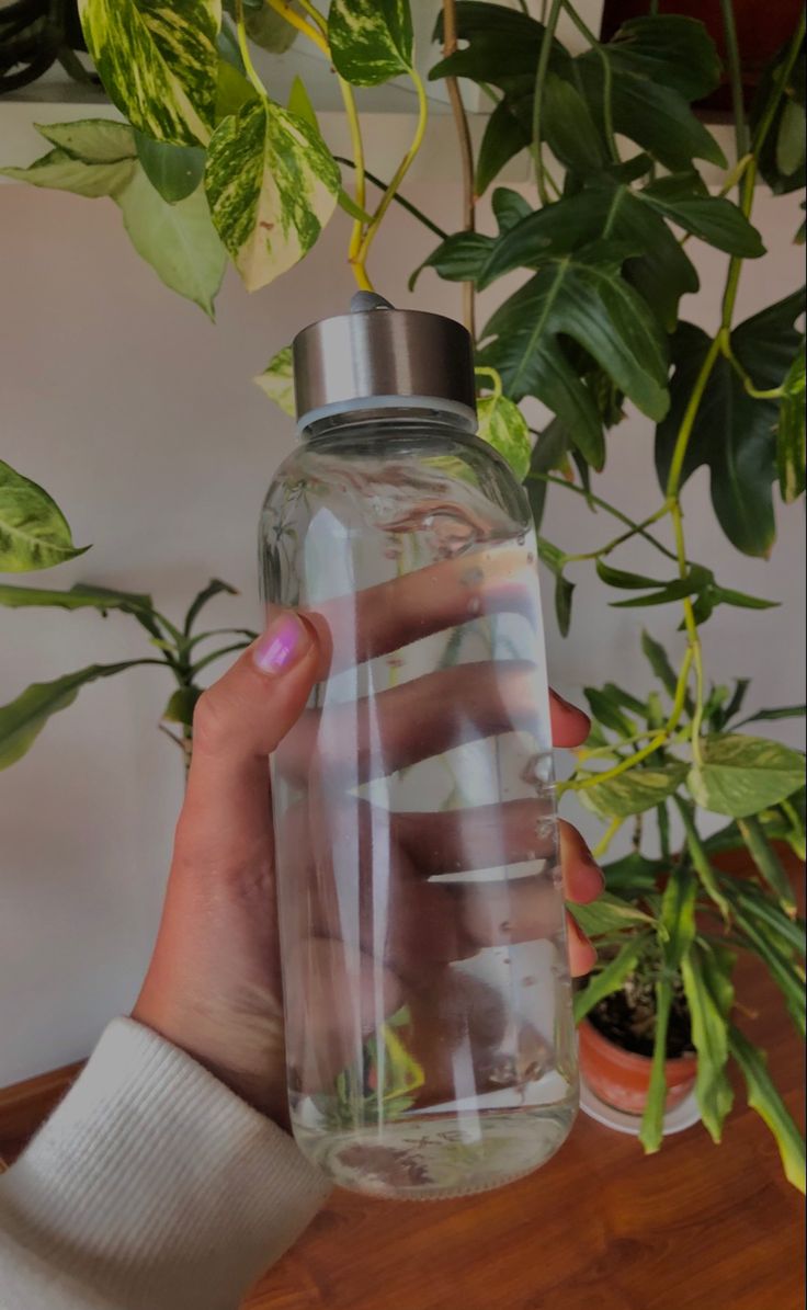 Water Aesthetic Bottle, Water Bottle Astethic, Drinking More Water Aesthetic, Cup Of Water Aesthetic, Green Water Bottle Aesthetic, Tomar Agua Aesthetic, Bottle Of Water Aesthetic, Water Cup Aesthetic, Glass Water Bottle Aesthetic