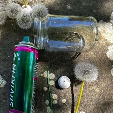 an empty water bottle next to a dandelion and other items on the ground