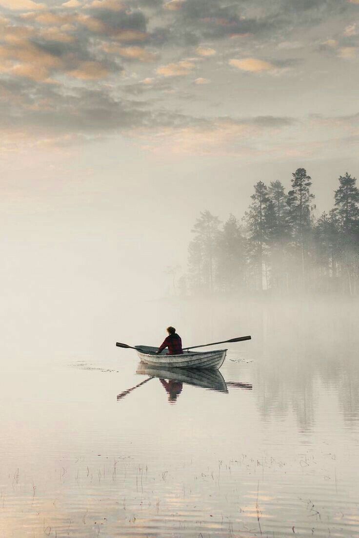 a person in a row boat on a lake with fog and trees behind them,