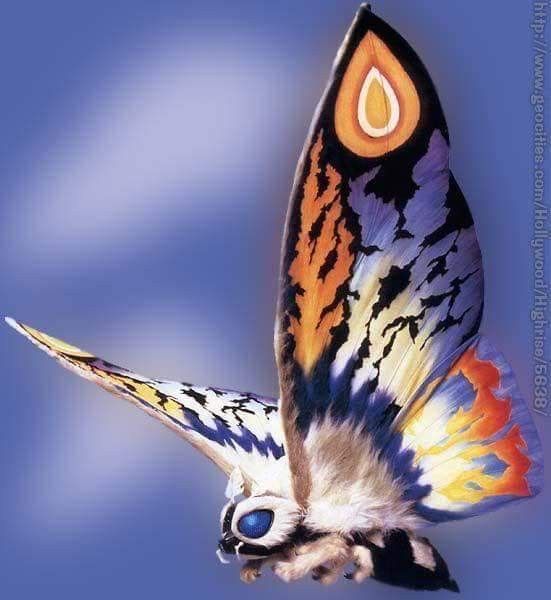 a colorful butterfly flying in the sky with its wings spread out and eyes open,