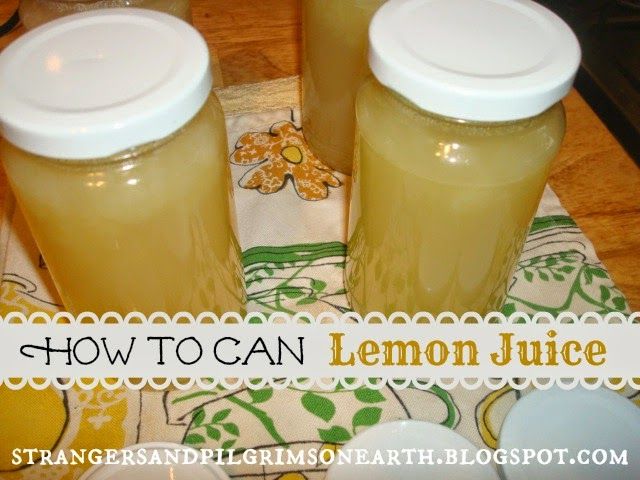 three jars filled with lemon juice sitting on top of a table