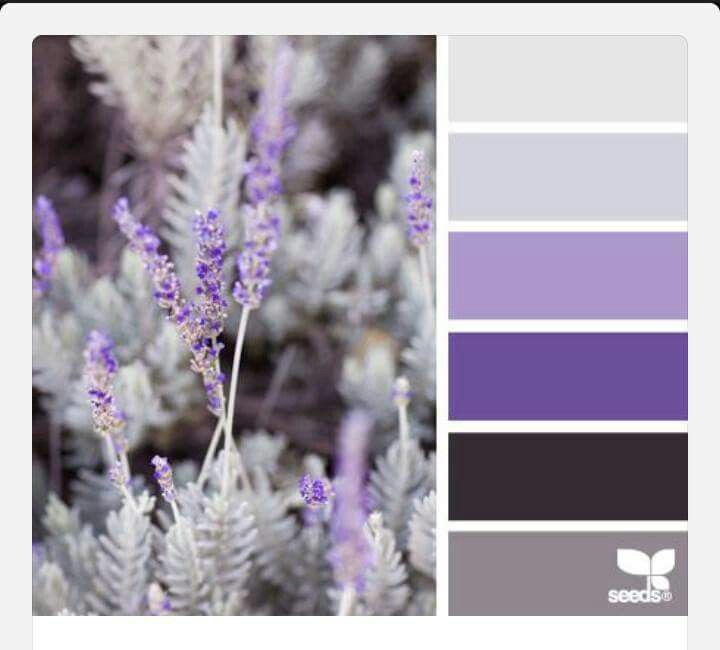 purple and grey color scheme with white flowers