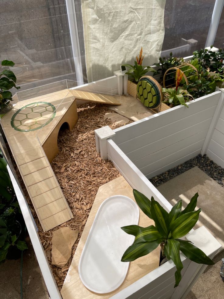 Turtle town Cool Tortoise Enclosure, Tortoise Home Ideas, Small Tortoise Habitat Indoor, Turtle Enclosure Ideas, Tortoise Table Indoor Diy, Indoor Tortoise Habitat, Tortoise Terrarium Indoor, Hermann Tortoise Enclosure Indoor, Tortoise Table Ideas