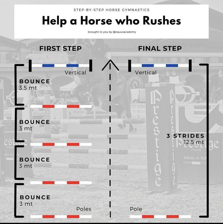 a horse jumping over an obstacle with the words help horses who rushes first step