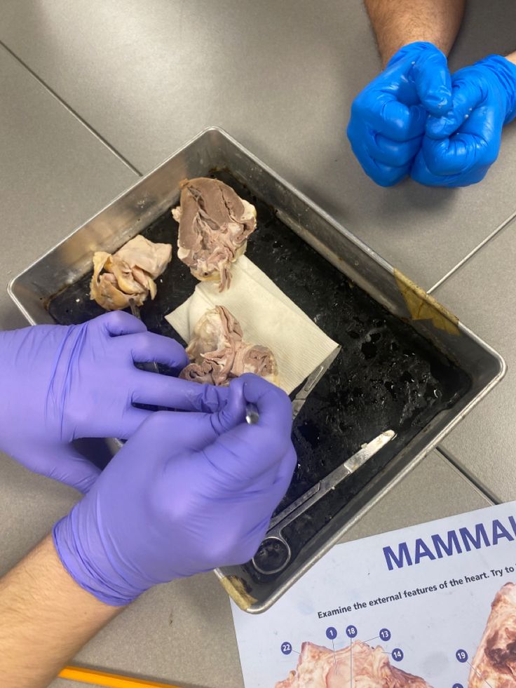 two hands in blue gloves are holding something on a tray that is filled with small pieces of food