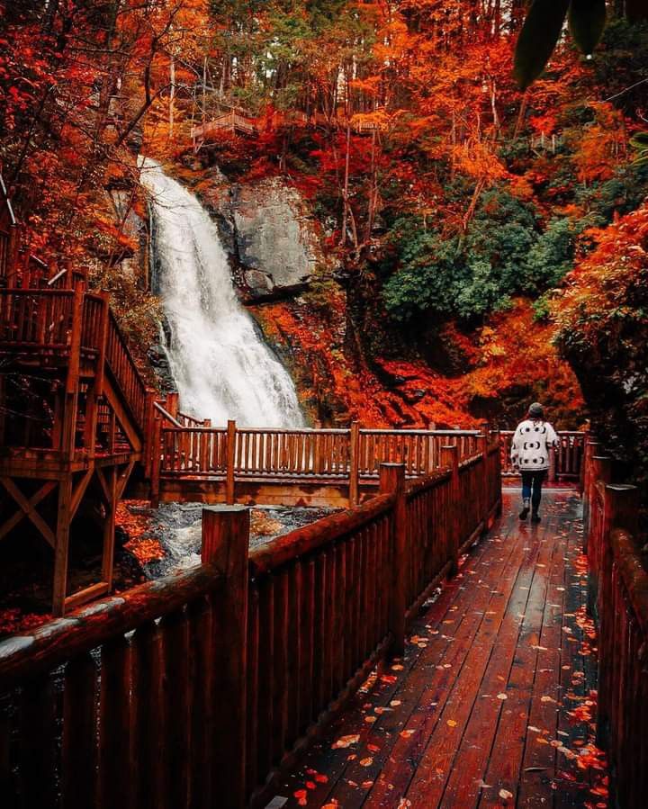 a person walking down a wooden walkway next to a waterfall in the woods with fall foliage