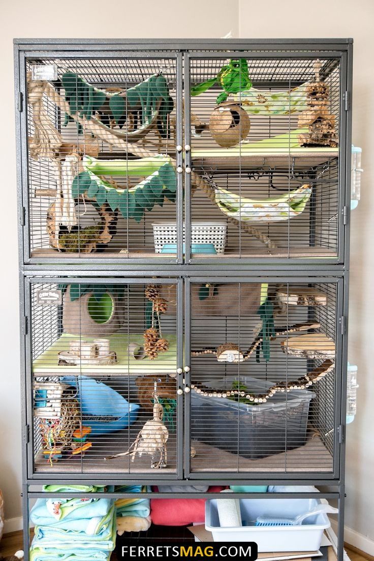 a large cage filled with lots of birds and other animals in it's cages