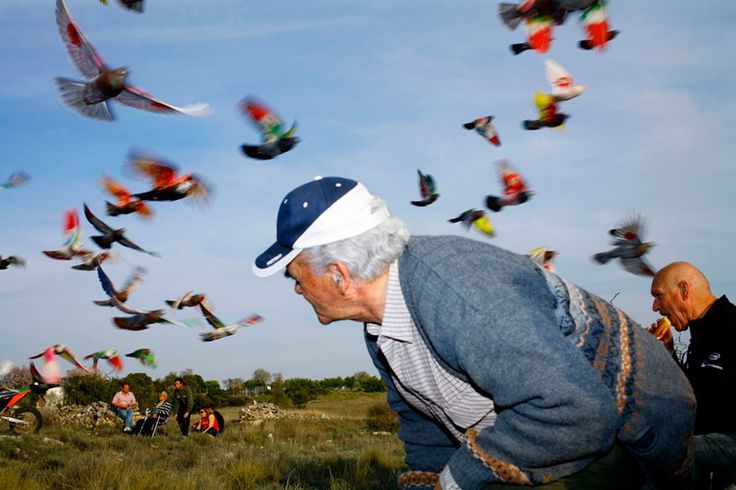 an old man is looking at birds in the air while another man watches from behind him