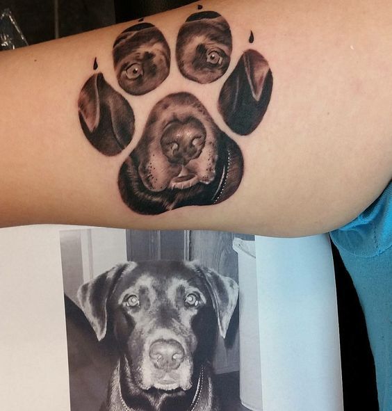 a dog's paw is shown with three dogs on the left side of his arm