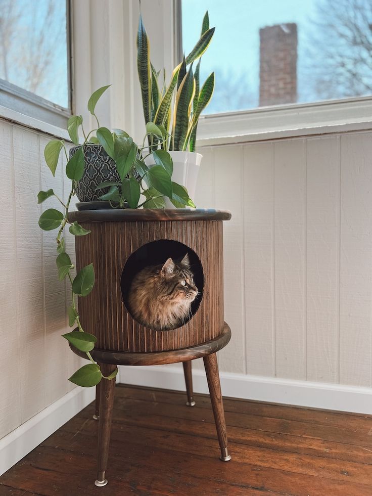 a cat sitting in a wooden planter on top of a hard wood floor next to a window