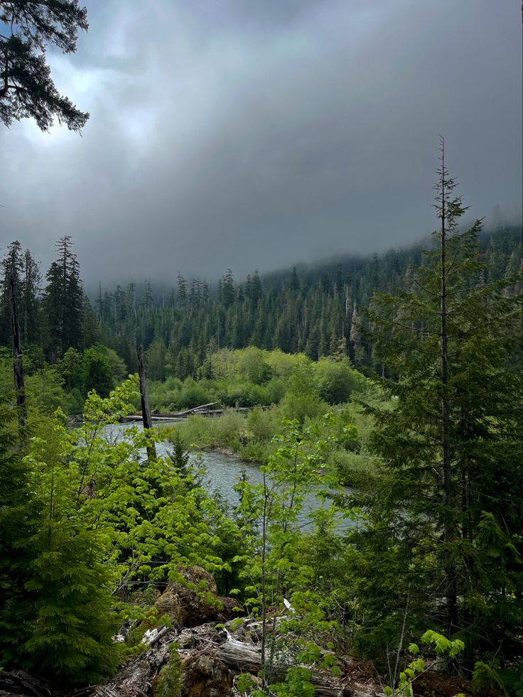 a river running through a forest filled with lots of green trees under a cloudy sky