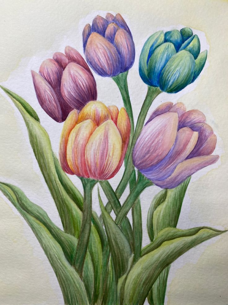 this is a painting of tulips in pastel and watercolor on paper