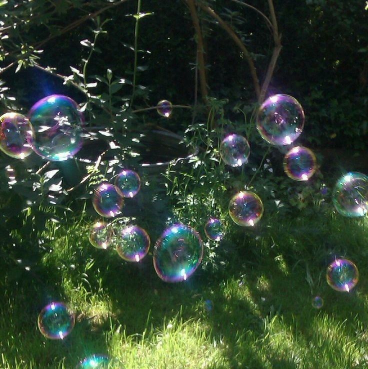 soap bubbles are floating in the air near some trees and grass, with sunlight shining on them