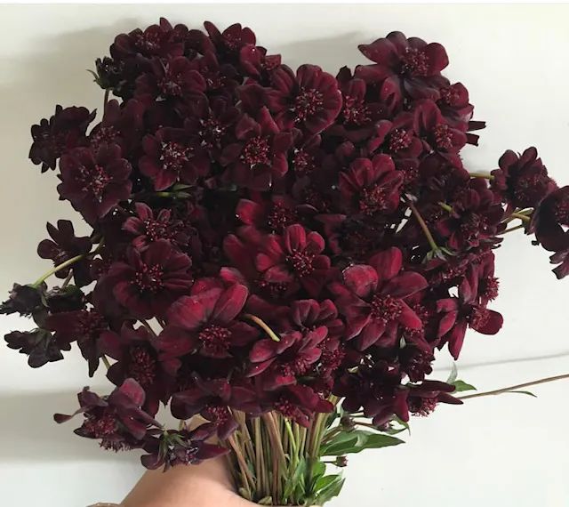 a vase filled with purple flowers on top of a table