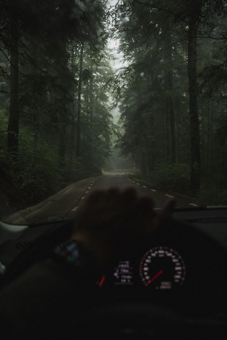 a person driving down a road in the middle of a forest on a foggy day