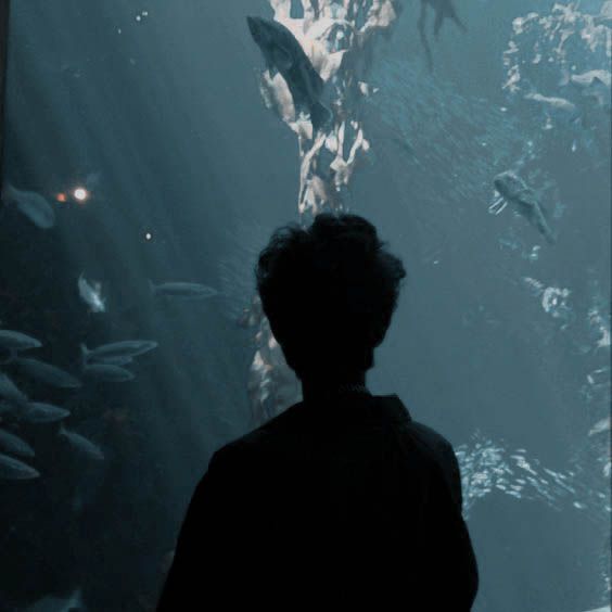 a man standing in front of a large aquarium filled with lots of fish under water